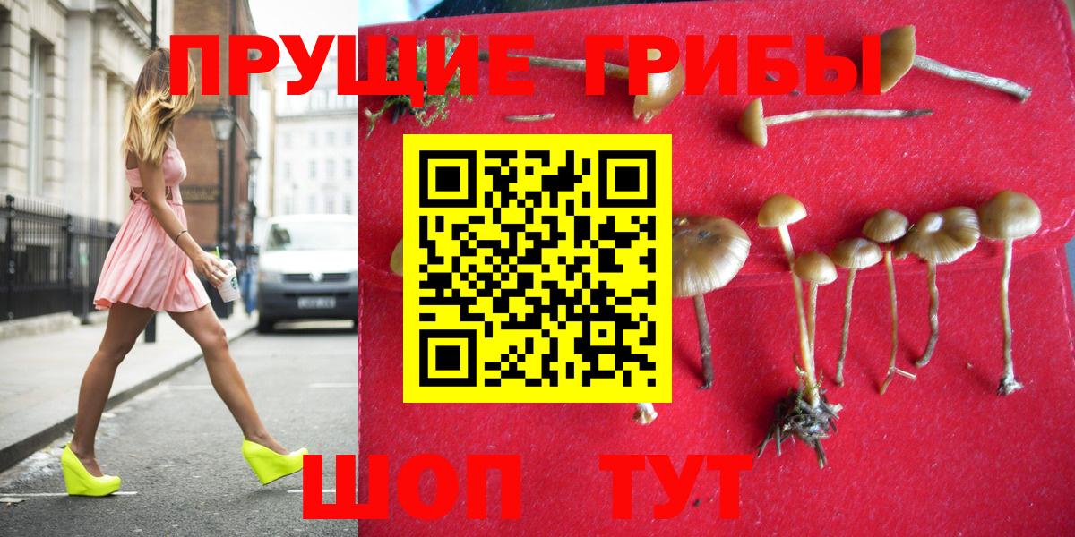Псилоцибиновые грибы MAGIC MUSHROOMS  Вход с VPN  Псилоцибиновые грибы Psilocybine cubensis  Томск 
