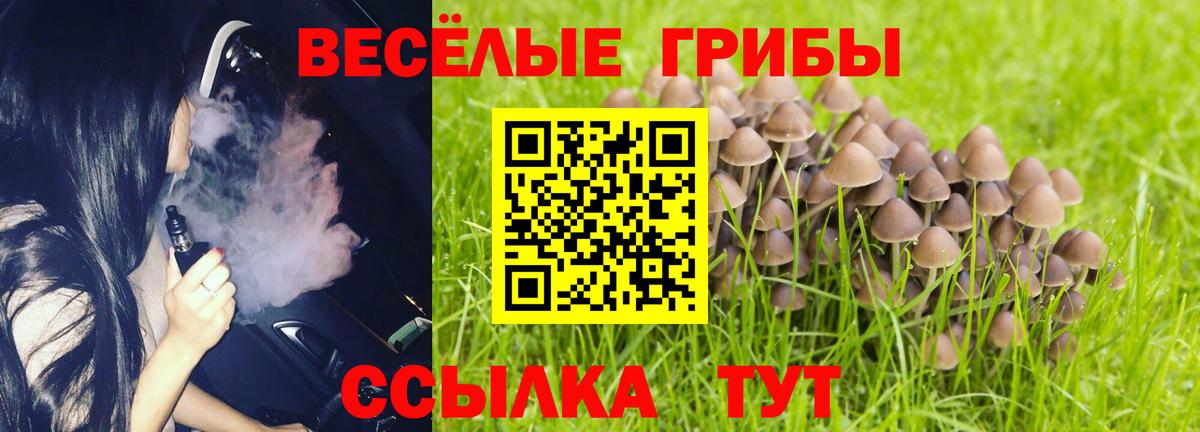 Псилоцибиновые грибы MAGIC MUSHROOMS Томск