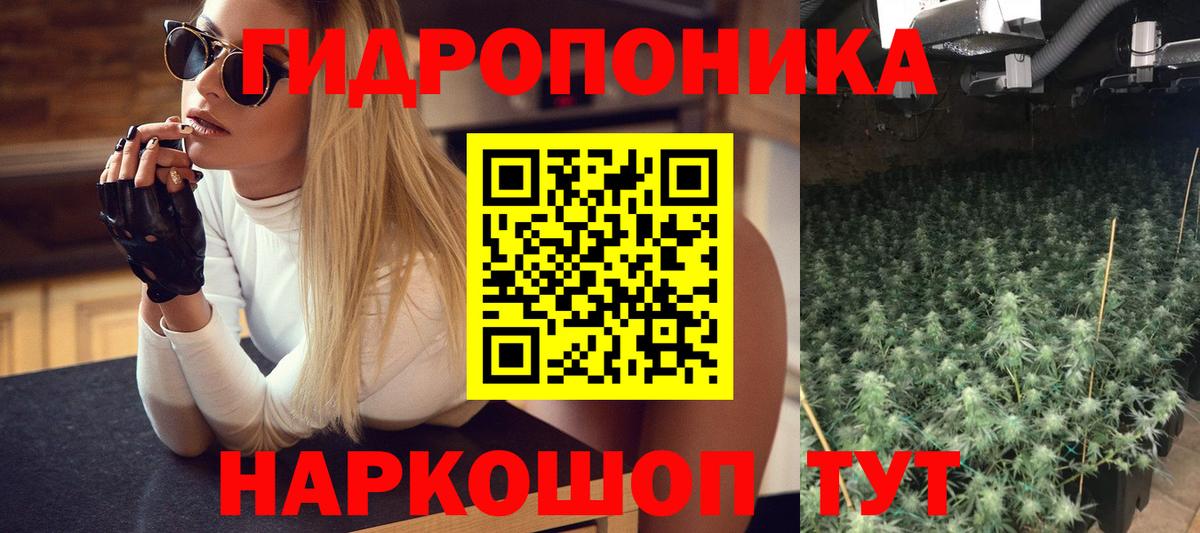 Канабис тримм  Шишки марихуана конопля  Томск  Вход с VPN 